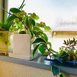 Beautiful, Sunny, & Quiet Apt Close To Metro 201